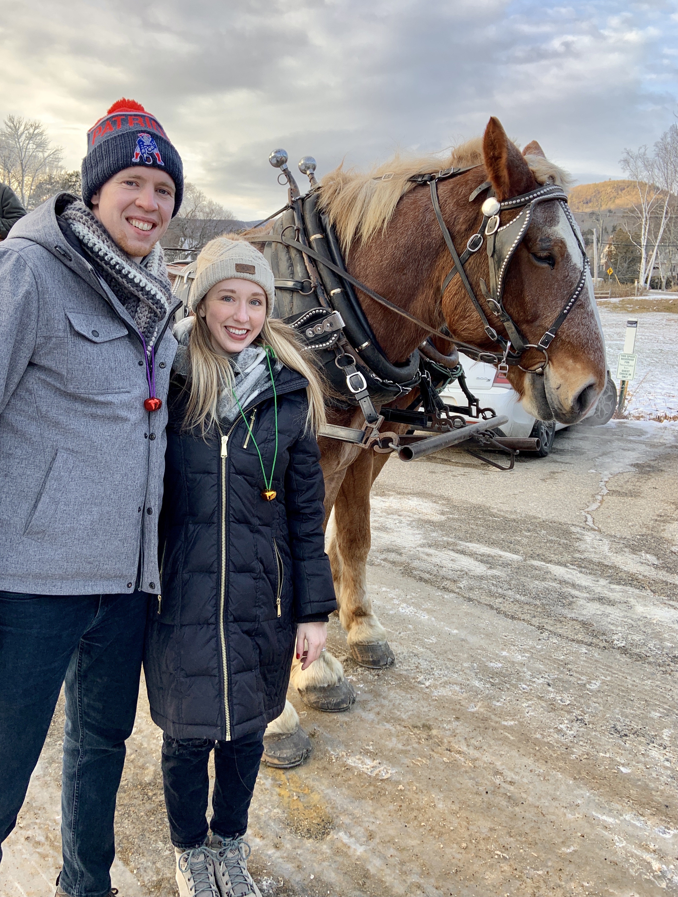 Mark & Amanda with the horses (Mac & Spud) who pulled our sleigh 