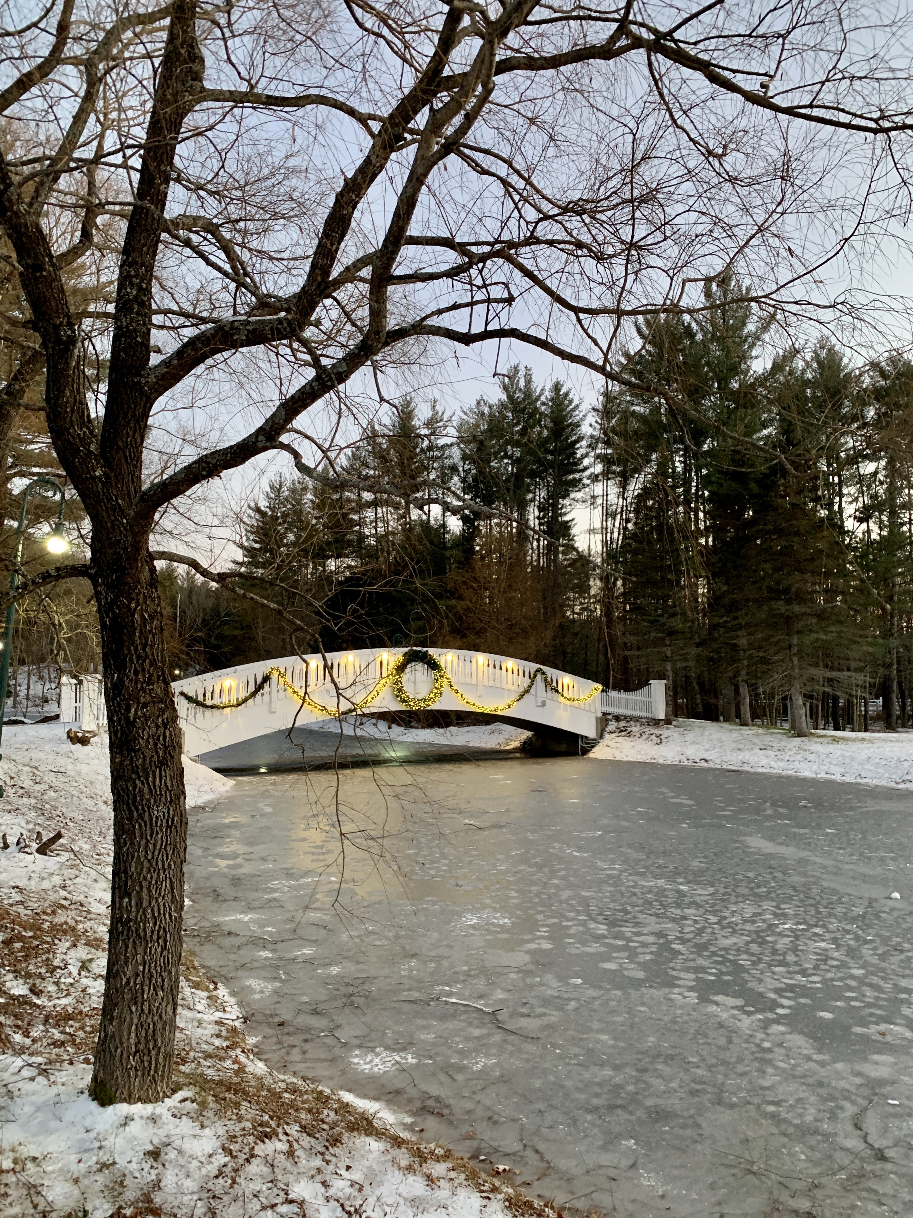 Ice skating rink & bridge at Nestlenook Farm